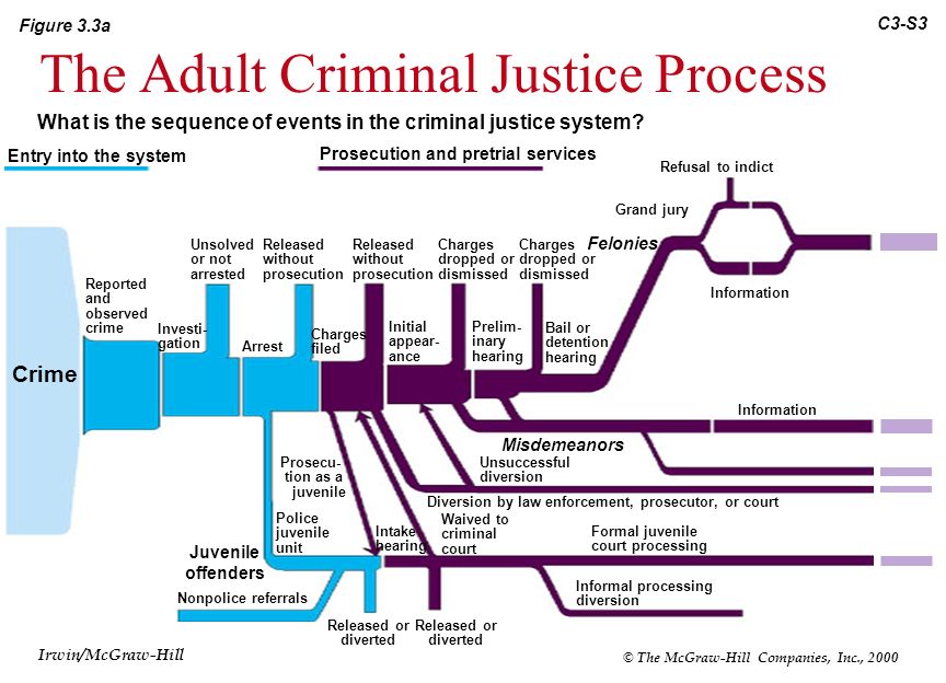 The juvenile justice process